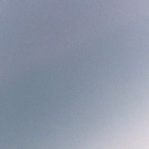 Meet your Posher, Liliya